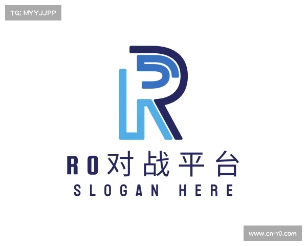 了解r0对战平台